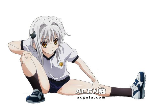 恶魔高中塔城小猫图片