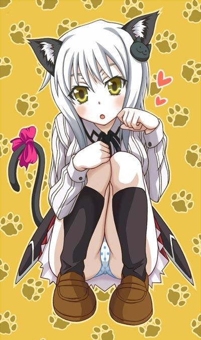 恶魔高中塔城白音小内内图片