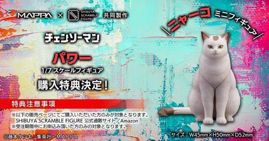 帕瓦的猫