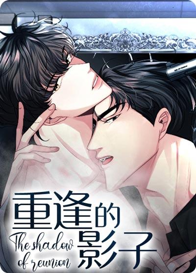 重逢的影子漫画在线观看全集无弹窗广告
