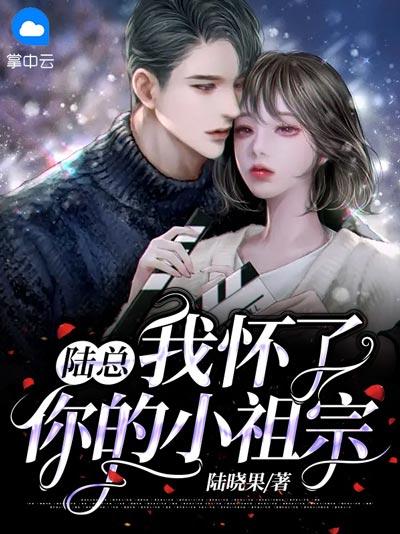 陆总，我怀了你的小祖宗小说全文在线阅读