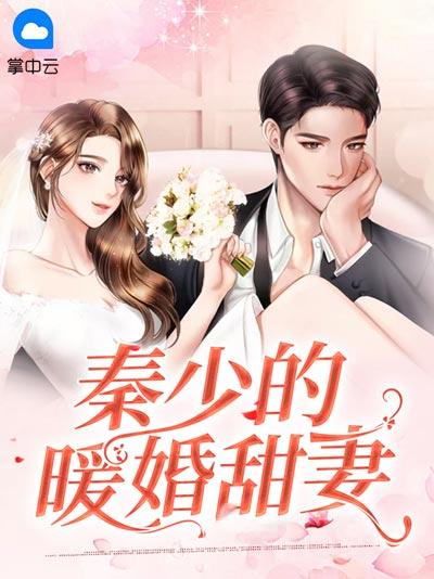 秦少的暖婚甜妻小说全文在线阅读，误会悬念+虐恋情深，情感细腻！
