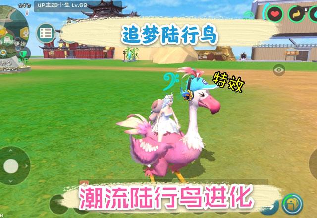 创造与魔法潮流陆行鸟获得方式有哪些?