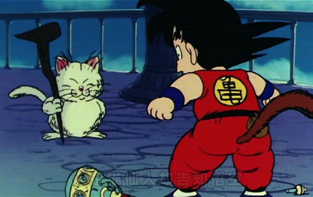 猫仙人和悟空