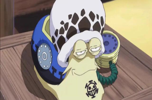 海贼王中的电话虫是什么，会死吗？