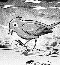 陨铁鸟头像