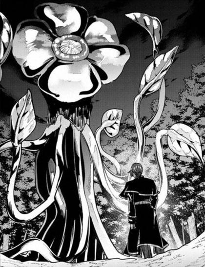 混沌花