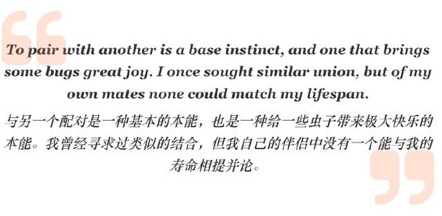 空洞骑士丝之歌女主大黄蜂日记曝光其情史，曾有过多位伴侣！