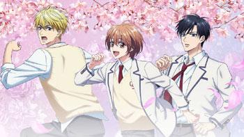 中条比纱也遗作《花样少年少女（偷偷爱着你）》动画2026年1月开播！