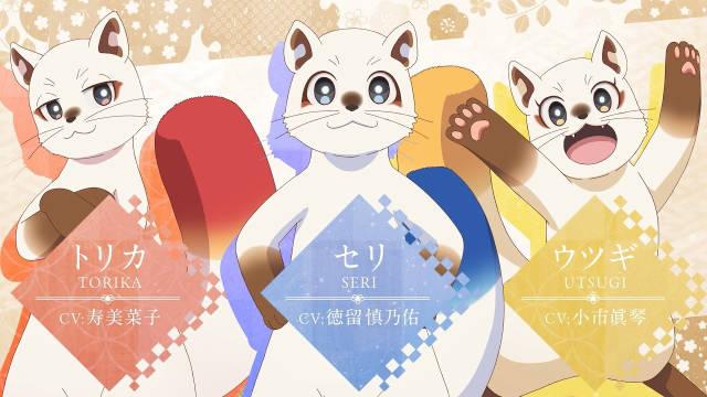 TV动画《楠木邸的神明庭院》2026年开播！