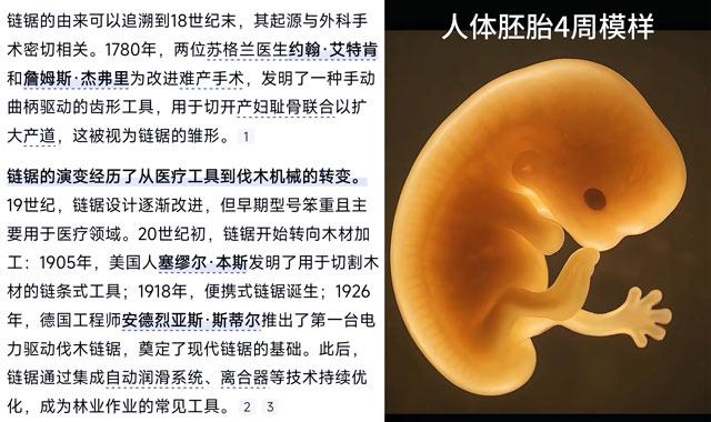 链锯人：电锯恶魔本体其实是活下去恶魔...