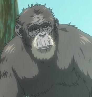 达尔文事变夏娃角色资料介绍