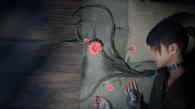 宝可梦轮回之兽