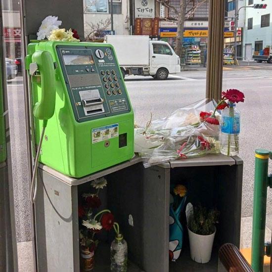 电话亭被塞满了花