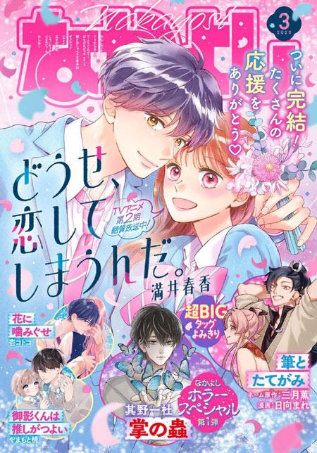 满井春香《终究，与你相恋。》漫画完结，系列累计发行175万部！