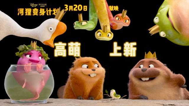 皮克斯动画电影新作《河狸变身计划》内地定档2026年3月20日上映