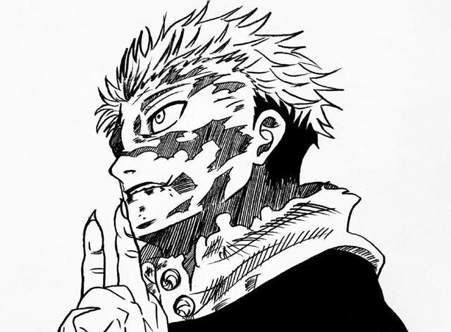 虎杖悠仁的领域展开到底叫什么？