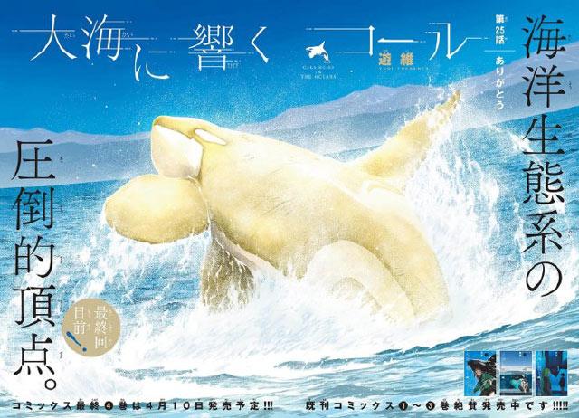 《响彻海洋的呼唤》完结，总计26话