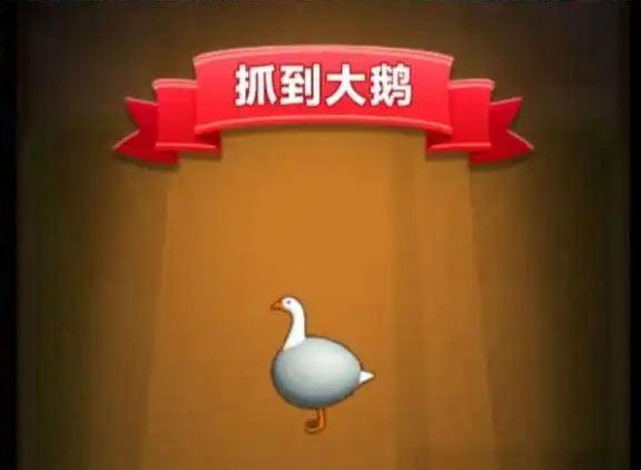 抓大鹅的玩法诀窍
