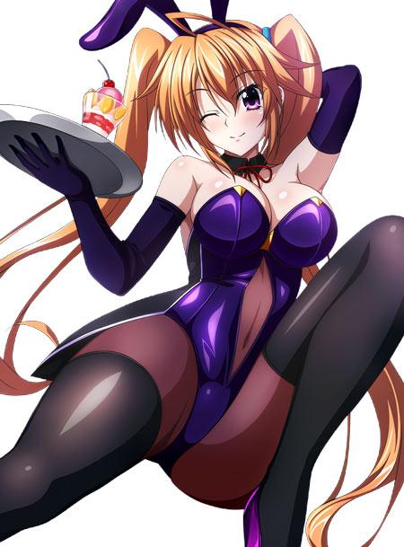 紫藤伊莉娜兔女郎壁纸