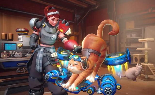 守望先锋猫咪飞行员飞天猫背景故事：从流浪猫到飞天战士的蜕变！