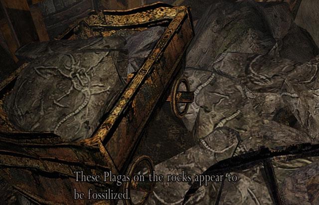 普拉卡寄生虫怎么传播