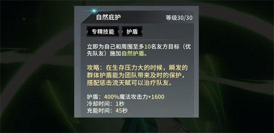 解锁《星痕共鸣》隐藏玩法:森语者惩击流全攻略,轻松制霸战场