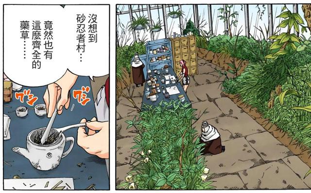 春野樱都对砂隐村的药草齐全表现出惊喜